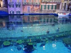 -华夏文旅西安度假区