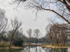 -西溪国家湿地公园