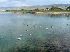 -青海湖国家重点风景名胜区