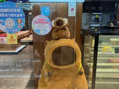 -江南环球港