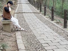 -苏州上方山国家森林公园