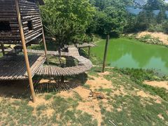 -西霞口神雕山野生动物世界