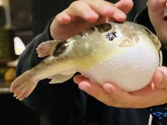 -永安鱼庄·镇江菜(东吴路店)