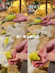 -酷嗒动物文化乐园(cutezoo西溪乐天城店)