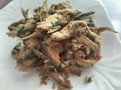 椒盐小溪鱼-雁荡老杨土菜馆