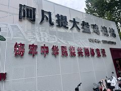 -阿凡提大盘鸡(东城墙路店)