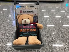 -张家界荷花国际机场