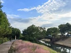-苏州太湖国家湿地公园