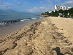 -玫瑰海岸文化旅游度假区