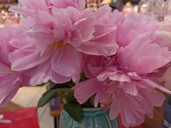 -山东嘉汇文化用品有限公司张店凤凰国际分公司(新村西路店)