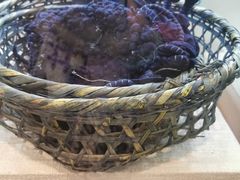 -璞真扎染博物馆