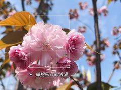 -大宁公园