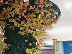-美可普口腔医院(宝龙标杆店)
