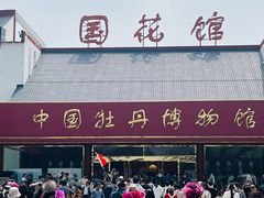 -曹州牡丹园