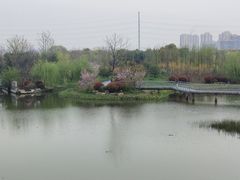 -九里河湿地公园