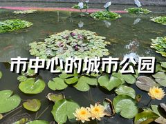 -中山公园