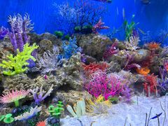 -成都浩海立方海洋公园