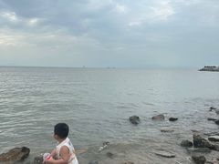 -野狸岛