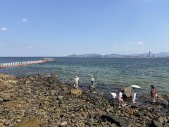 -养马岛旅游度假区
