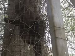 -大青山野生动物园