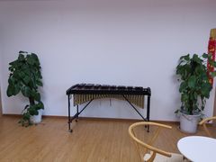 -音歆国艺馆·民乐培训(双榆树店)