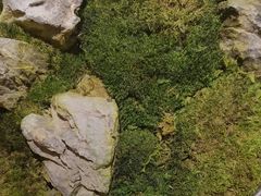 -耳湾躺式采耳SPA馆(保利五月花店)
