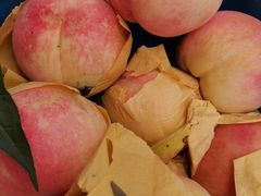 -南汇老顾农家乐采摘大团水蜜桃采摘店