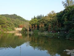 景点-云溪植物园