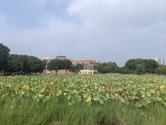 -滆湖低碳生态公园
