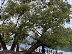 -新安江山水画廊风景区