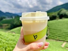 -白茶原·一片叶子