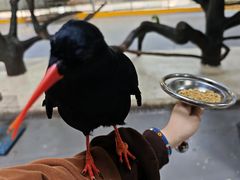-柳州市动物园