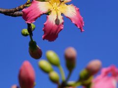 -二沙岛艺术公园