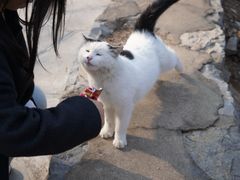 -四门塔风景区