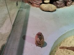-正佳雨林生态植物园