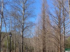 -白水寺森林公园