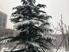 -中国电力科学研究院有限公司