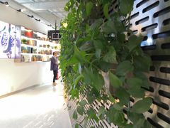 -CoCo都可(360丰产店)