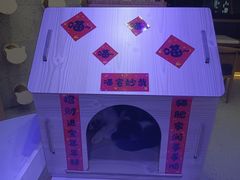 -喵园·猫主题咖啡厅·撸猫·猫咖(国贸店)