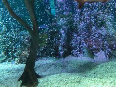 -沈阳海洋探索中心