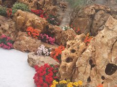 -南通洲际绿博园