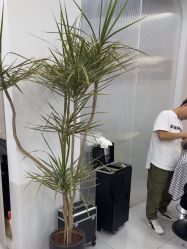 -尤司男士国潮理发馆
