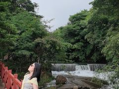 -广州市石门国家森林公园