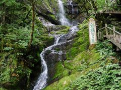 -神农架景区