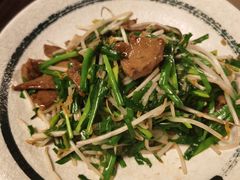 -日本料理神拉面