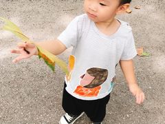 -惠洛克国际儿童之家(绿博园中心)