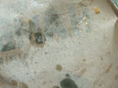 -魏家凉皮(解放路火车站店)