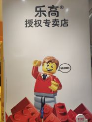 -乐高授权专卖店(朝阳大悦城店)