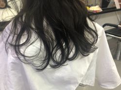 -SALON V