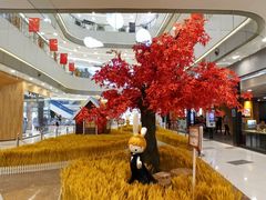 -凯德广场(西城店)